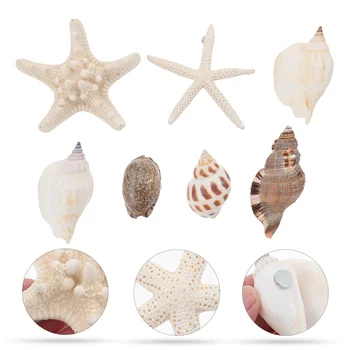 Shell Magnety Odtlačkový Nálepky Chladnička Seashell Nálepky Lete Nástenke Dekorácie